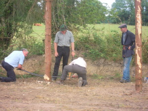 sawing tree