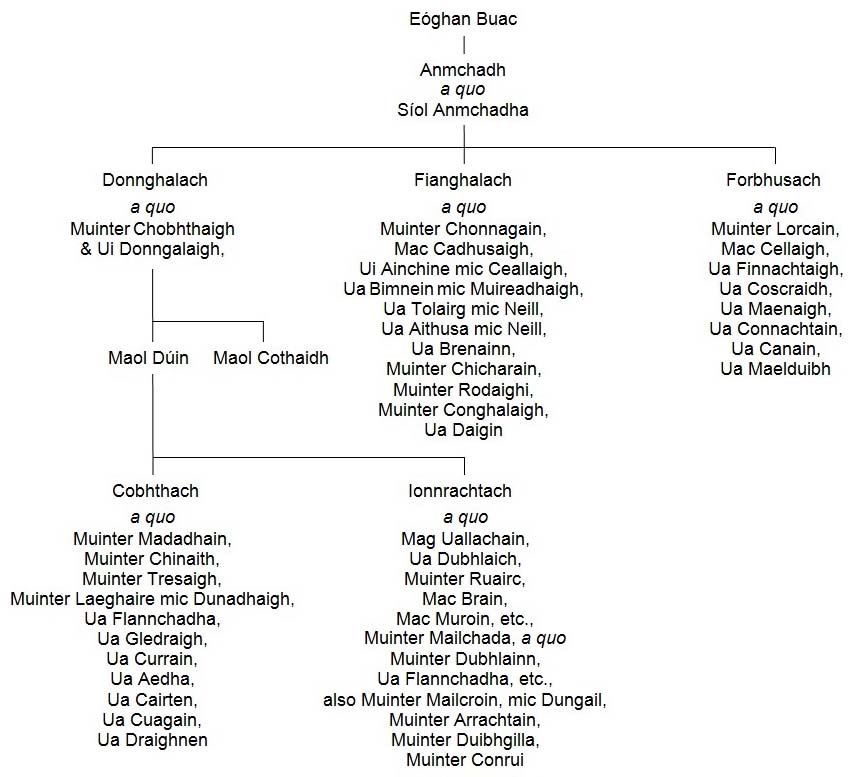 Pedigree showing the inter-relationship of the Siol Anmchadha