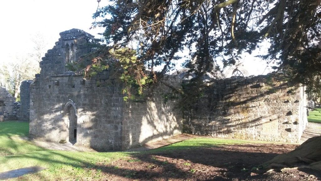 Portumna priory viewed from the south west