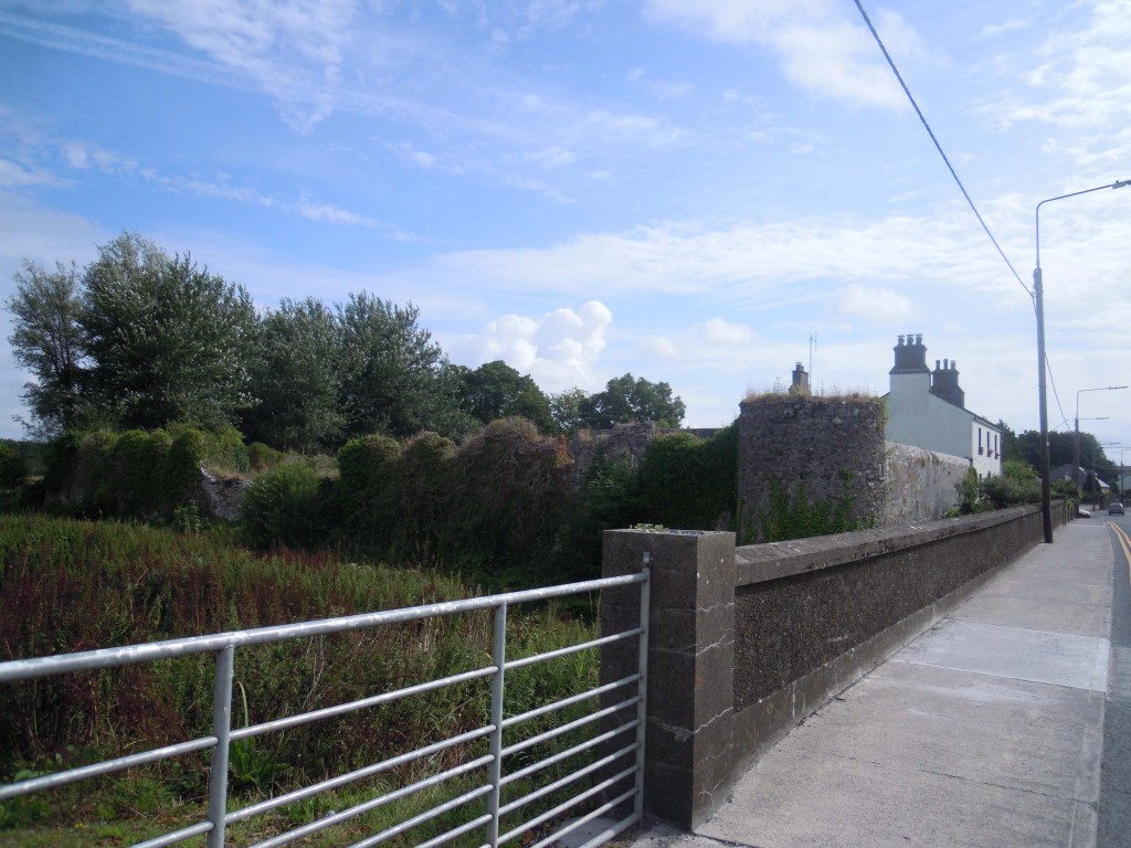 Site of Ballinasloe Castle, parish of Creagh