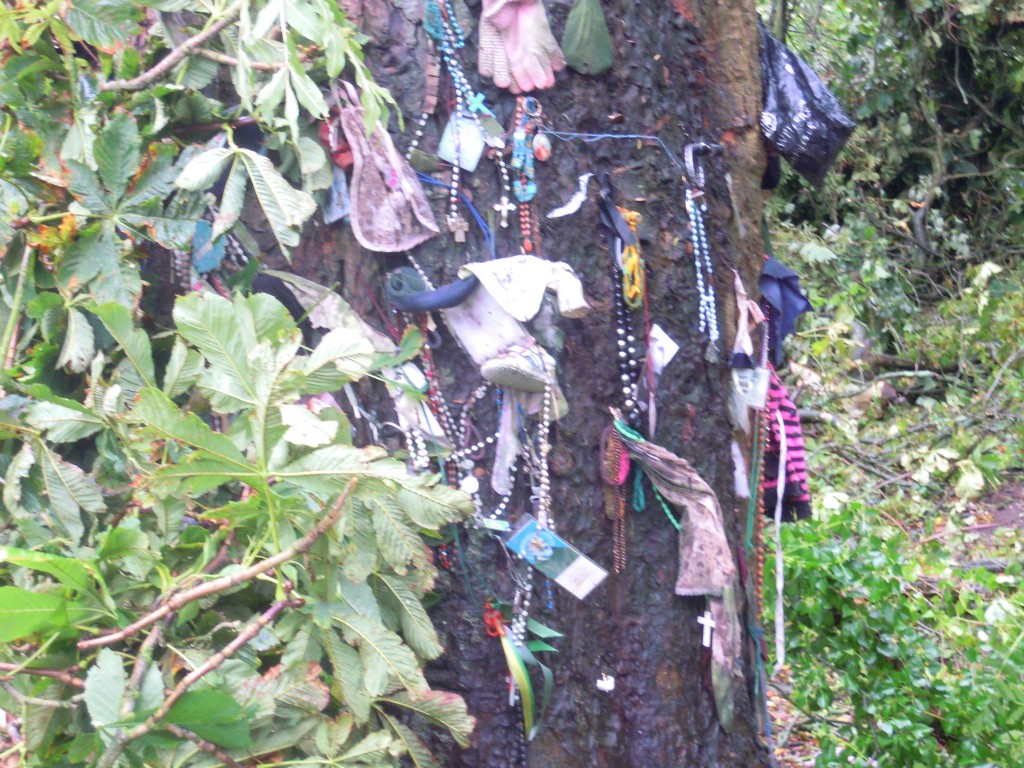 The 'Holy Tree' at Clonfert