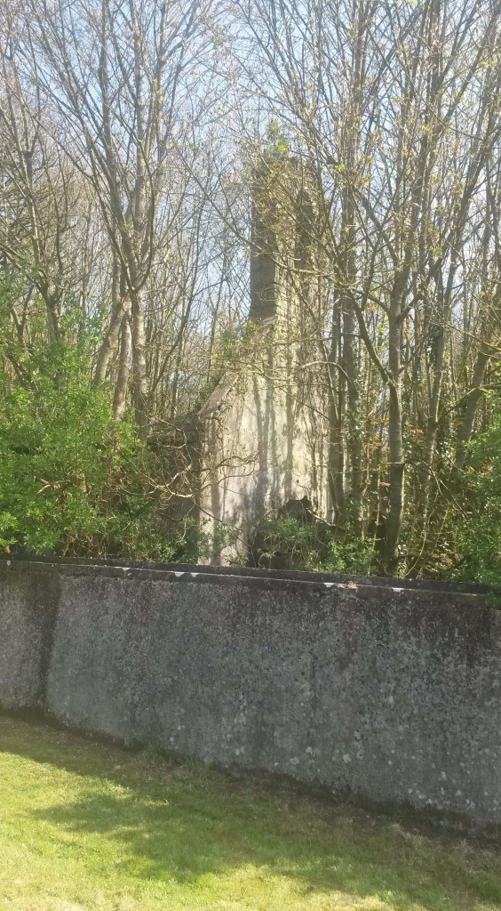 Eyrecourt church bellcote behind trees